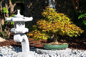 Japanisches Flair in der Wilhelma
